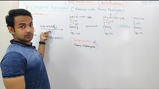 Biomolecules  Osazone Formation  Mechanism with Glucose and Fructose [upl. by Akehs]