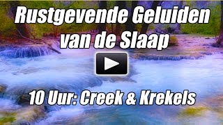 Slaap Geluiden Ontspannen 10 Uur Diep Slapen Rustgevende Natuur bos Stream Krekels Sfeer Kalm Water [upl. by Leivad950]