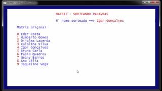 MATRIZ  SORTEANDO PALAVRAS [upl. by Eiznikcm216]
