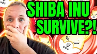 IS SHIBA INU GOING TO SURVIVE THIS CRYPTO CRASH IT IS NOT A SHIBA INU PROBLEM SHIBA INU NEWS [upl. by Emerej]