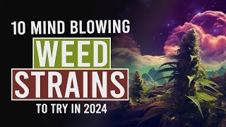 10 MUST TRY Cannabis Strains for 2024 [upl. by Diarmit374]