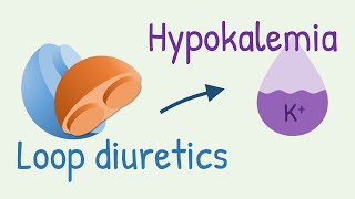 How diuretics cause hypokalemia [upl. by Rosalinda]