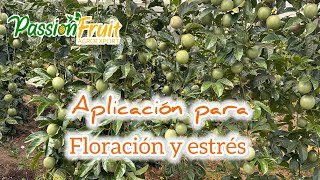 Cómo mejorar la floración y sacar las plantas 🌱 del estrés por sequía [upl. by Zurkow]