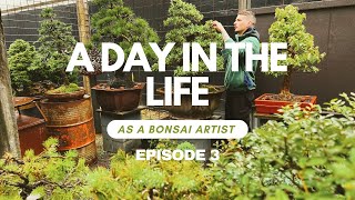 A Day In The Life As An Australian Bonsai Artist POV  Ep 3 [upl. by Nigrom905]