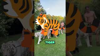 SO ERBRICHT SICH DER TIGER 🐯🤮 shorts youtubeshorts germany germanyshorts [upl. by Htiderem147]