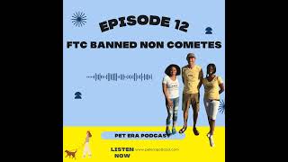 Ep 12 FTC Ditches NonCompetes [upl. by Refynnej]