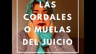 CORDALES  MUELAS DEL JUICIO  Todo lo que debes saber para la cirugía [upl. by Thistle]