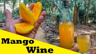 Home made  Mango Wine in village life [upl. by Cowley]