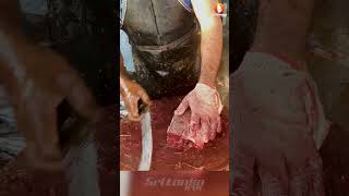 Masterclass in Fast Fish Slicing  Amazing Seer Fish Cutting Skills in India  Super Quick Fish Prep [upl. by Lilithe]