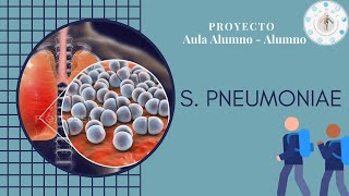 STREPTOCOCCUS PNEUMONIAE •Neumonia  Aula AlumnoAlumno [upl. by Kerat167]