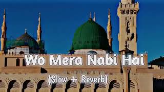 Wo Mera Nabi Hai SlowReverb Naat  Syed Hassan Ullah Hussani  Lofi Naat 2024 [upl. by Alak86]