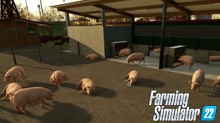 FARMING SIMULATOR 22 ELM CREEK 107  IL RECINTO DEI MAIALI  GAMEPLAY ITA [upl. by Shepperd]