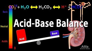 Acid base Balance and pH Part II [upl. by Aihsei234]