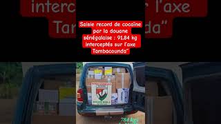 Saisie record de cocaïne par la douane sénégalaise  9184 kg interceptés sur l’axe Tambacounda” [upl. by Raskind]