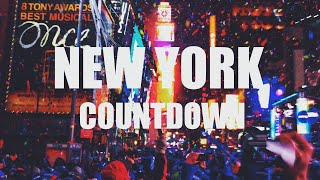 【オムツはいらない！】ニューヨーク年越し！カウントダウンの瞬間！NYタイムズスクエアで  NY City New Years Eve Countdown from 2013 to 2014 [upl. by Gleda622]