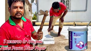 how to apply Asian Paint damp proof in Hindi  Chhat per damp proof dalne ke 3 fayde [upl. by Nilyak]