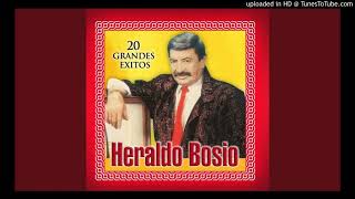 HERALDO BOSIO  Enganchados [upl. by Lin206]