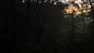 Opening morning duck hunting Indiana WMA [upl. by Ayatnwahs]