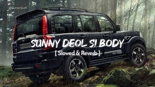 Sunny Deol Si Body Re  Slowed amp Reverb  Raju Punjabi  Choudhar Jaat Ki Latest Haryanvi Song [upl. by Fairbanks267]