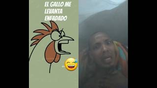 Cuando uso el gallo de alarma ⏰ 😅 humor gallo viralshort [upl. by Ezarra]