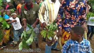 Best Bakweri Traditional Dance Elephant 🐘 Dance Heritage Cultural Music [upl. by Nagard]