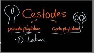 Parasitology 07 Cestodes General »DrMoaz [upl. by Erdman]