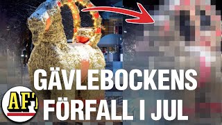 Gävlebockens förfall efter 20 dagars fågelfest [upl. by Francisco]