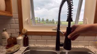 KOHLER Simplice Kitchen Faucet Review [upl. by Lenora443]