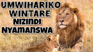 MENYA IMIBEREHO YINTARE MWISHYAMBA HAMWE NIZINDI NYAMANSWA [upl. by Byers]