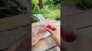 Techniques planting bottle plastic grow flowers so beautiful garden flowers plants flower diy [upl. by Staley148]