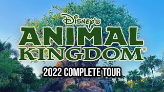 Disneys Animal Kingdom  2022 Walkthrough with Ride POVs [upl. by Carry]