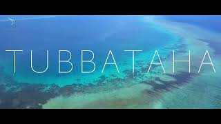 Dive Tubbataha in the Philippines with the Discovery Fleet [upl. by Gnus]