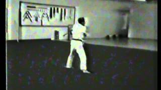 Nunchaku Odo 1981 [upl. by Topping501]