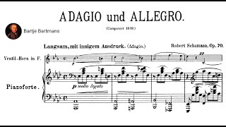 Robert Schumann  Adagio and Allegro Op 70 1849 [upl. by Athalee]