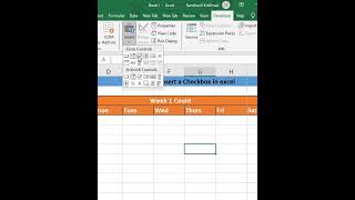 How to Insert a Checkbox in excel [upl. by Birecree]