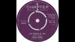 Putney Bridge  Meaning Of Love 1972 RARE [upl. by Nerland763]