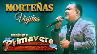 Puras Norteñas Viejitas Mix  30 Mejores Canciones De Conjunto Primavera [upl. by Basham]