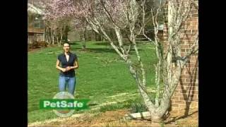 Petsafe Inground fence planning and installation video [upl. by Odoric204]