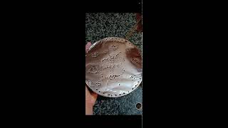 shamzavino Vlogs is live ODD ASMR  VERY SATISFYING FANTASTIC FOIL ASMR SOUND asmr trending foil [upl. by Thomasin873]