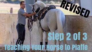 Teaching Your Horse Piaffe in Hand REVISED Step TWO of Three  Deanna Corby Dressage [upl. by Nosemyaj]