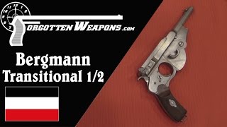 Bergmann Transitional No 12 Pistols [upl. by Leay]