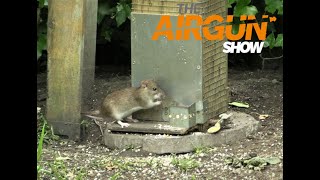 The Airgun Show – day and night ratting PLUS how to improve your airgun accuracy… [upl. by Placido]