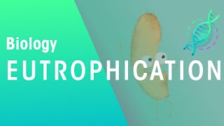 What Is Eutrophication  Agriculture  Biology  FuseSchool [upl. by Dunson]