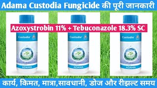 Adama Custodia Fungicide Azoxystrobin Tebuconazole [upl. by Anaujnas420]