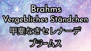 甲斐なきセレナーデ Vergebliches Ständchenブラームス Brahms [upl. by Nivak267]