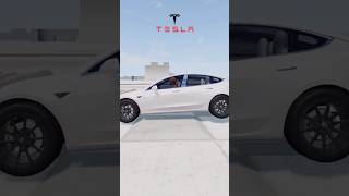 Tesla vs Lada Which Would You Buy [upl. by Blain]