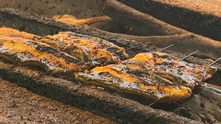 鰻祭り eel festival Japanese eel chef A close look at eel handling ईल शेफ को करीब से देखें [upl. by Aiciruam]