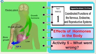 Science 10 Quarter 3 Module 1 Activity 5 What went Wrong The effects of Hormones in our body [upl. by Gavrah]