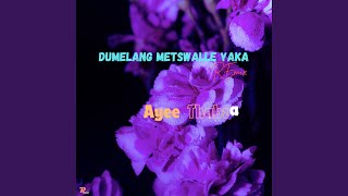 Dumelang Metswalle Yaka Remix [upl. by Hgielrebma]