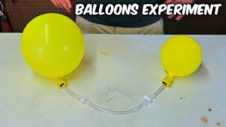 Awesome Science Experiment with Balloon [upl. by Larentia]